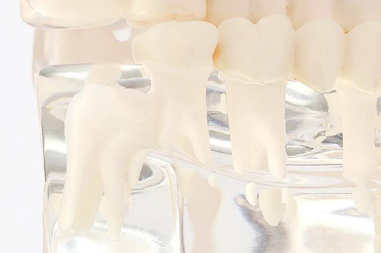 専門的な治療にも認定医がしっかり対応